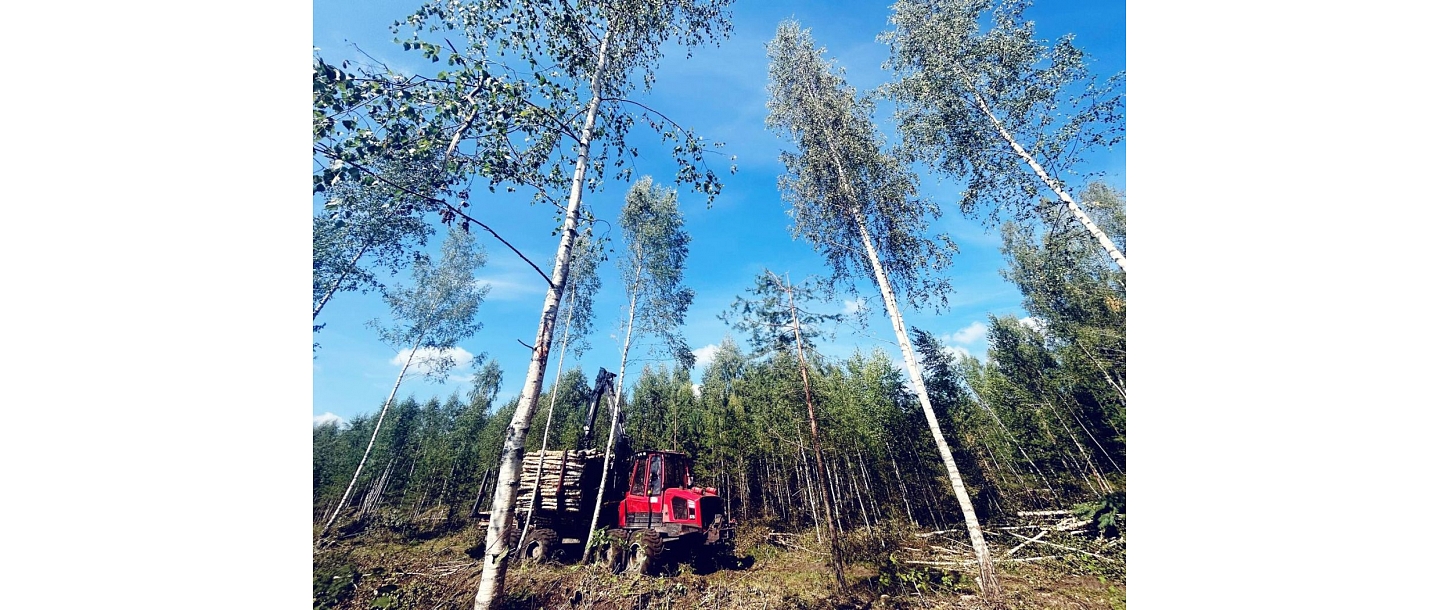 Услуги форвардера